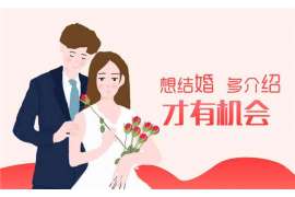 婚姻调查