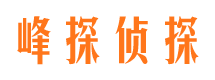 潘集峰探私家侦探公司